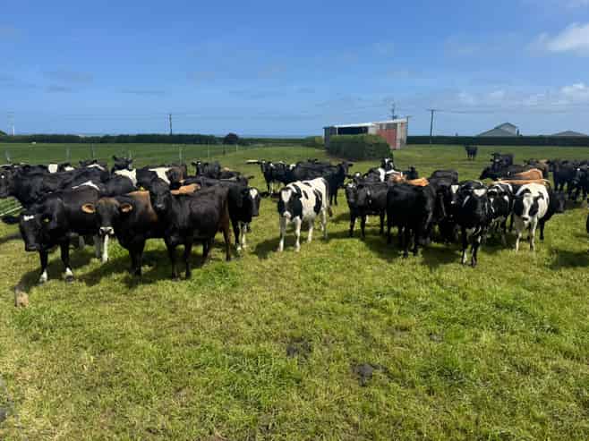 4782 South Road, Opunake