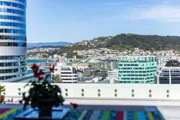 2/227 The Terrace, Wellington Central