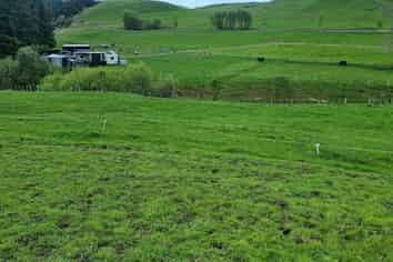 3345A Weber Road, Dannevirke