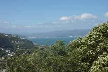 Studio Flt/177 Barnard Street, Wadestown