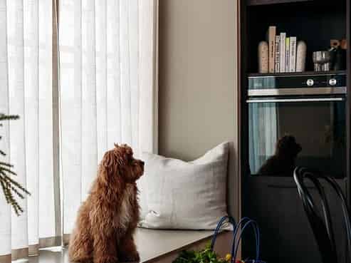 135 Victoria Street, Te Aro