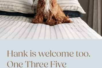 135 Victoria Street, Te Aro