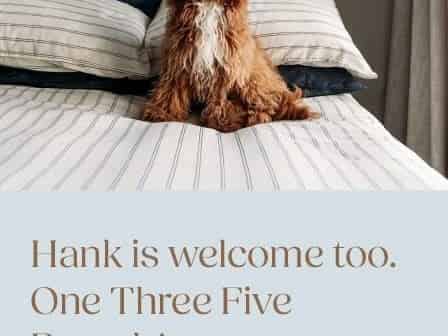 135 Victoria Street, Te Aro