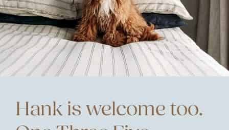 135 Victoria Street, Te Aro