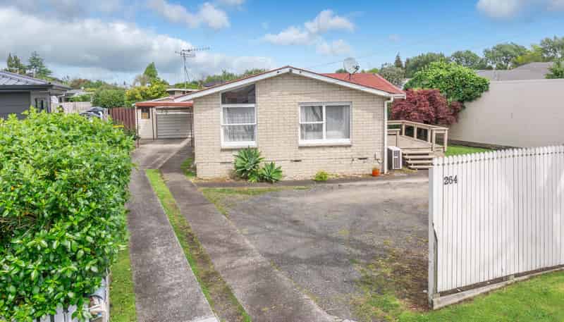 264 Clyde Street, Hamilton East