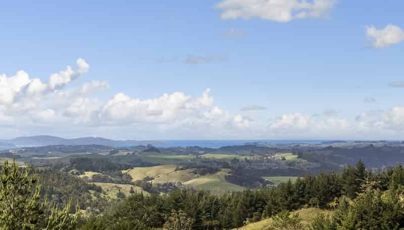 15 Kraack Road, Dome Forest