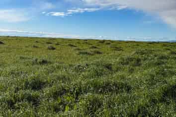 21 East Chatton Road, Maitland