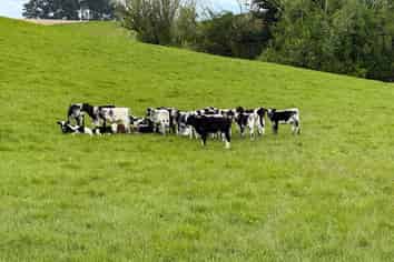 21 East Chatton Road, Maitland