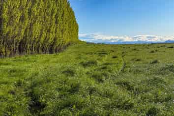 21 East Chatton Road, Maitland