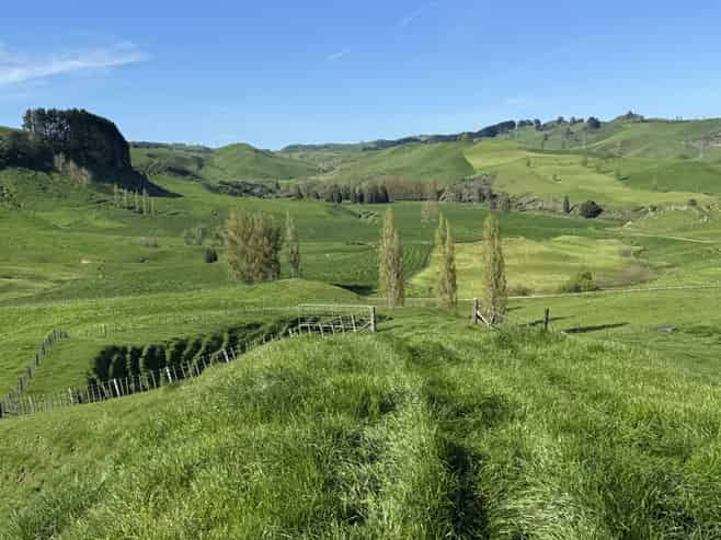 161 Veale Road, Otorohanga