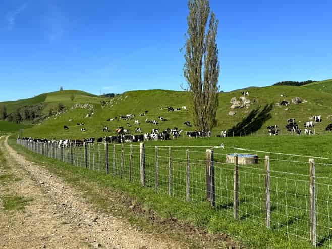 161 Veale Road, Otorohanga