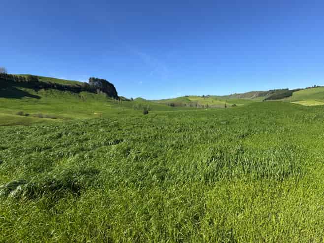 161 Veale Road, Otorohanga