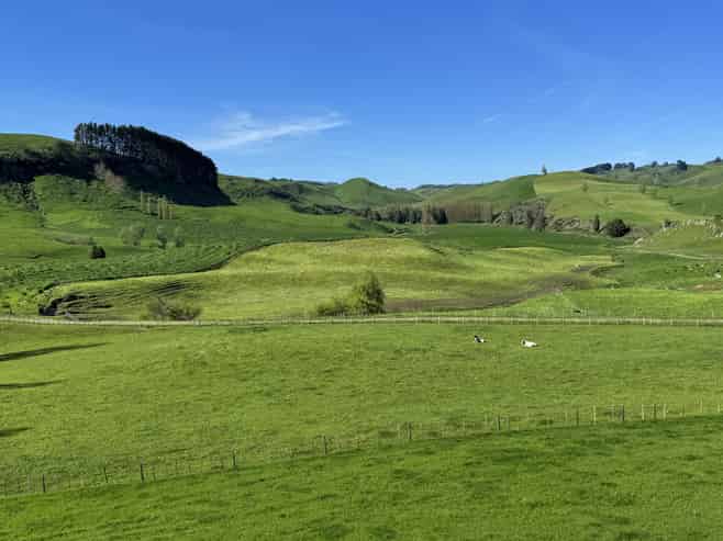 161 Veale Road, Otorohanga