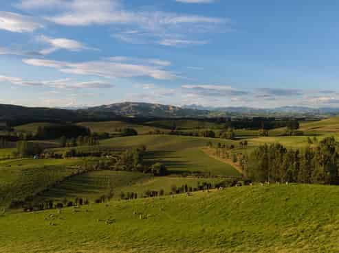 124 Cheviot Heights, Cheviot