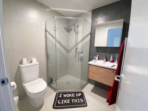 309b/428 Dominion Rd, Mount Eden