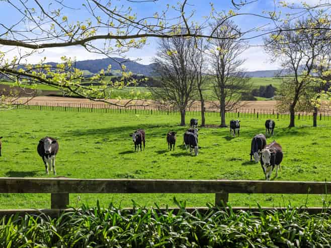 563B Matai Road, Matamata