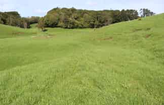 Lt2/310 Henwood Road, Bell Block