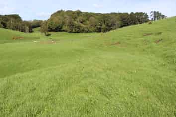 Lt2/310 Henwood Road, Bell Block