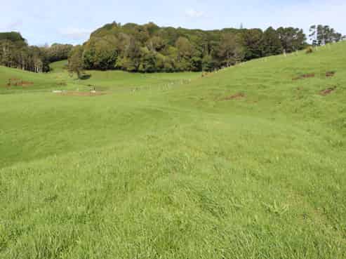 Lt2/310 Henwood Road, Bell Block