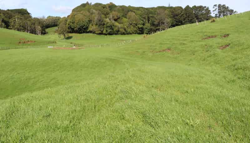 Lt2/310 Henwood Road, Bell Block