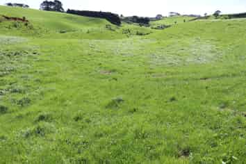 Lt2/310 Henwood Road, Bell Block