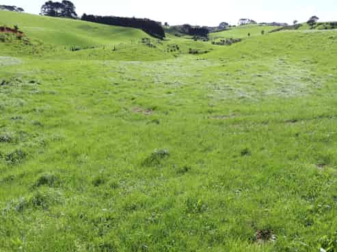 Lt2/310 Henwood Road, Bell Block