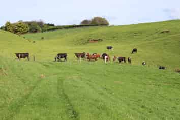 Lt2/310 Henwood Road, Bell Block