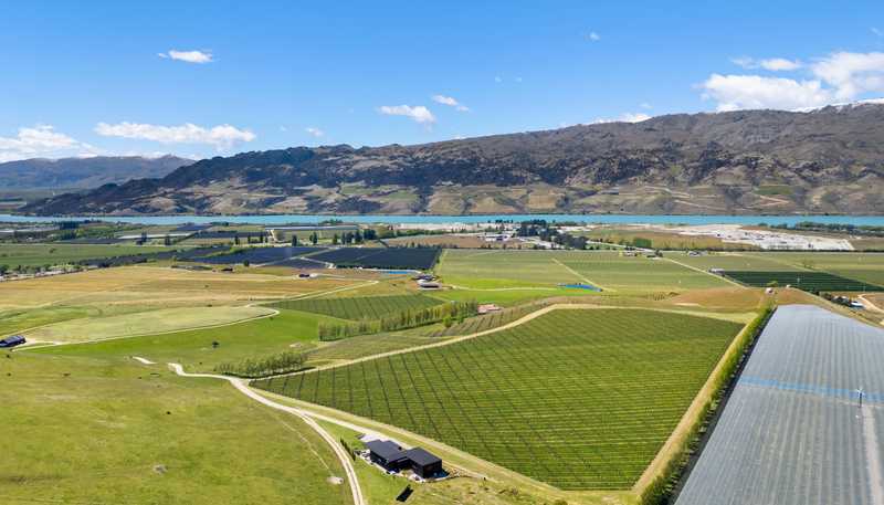 1005 Luggate-Cromwell Road, Mount Pisa