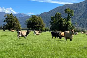 694-778 Waitaha Road, Kakapotahi