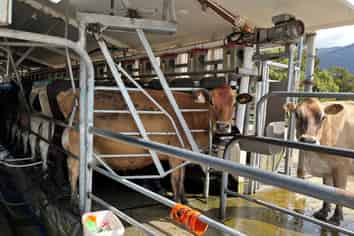 694-778 Waitaha Road, Kakapotahi