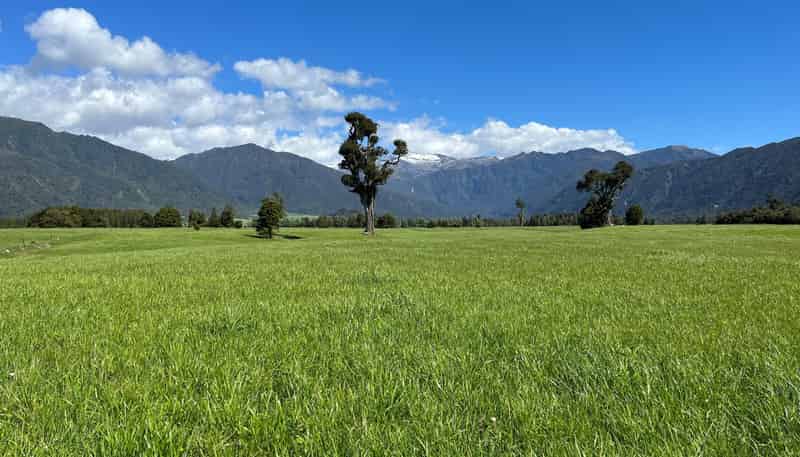 694-778 Waitaha Road, Kakapotahi