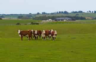 234 Sandon Road, Feilding