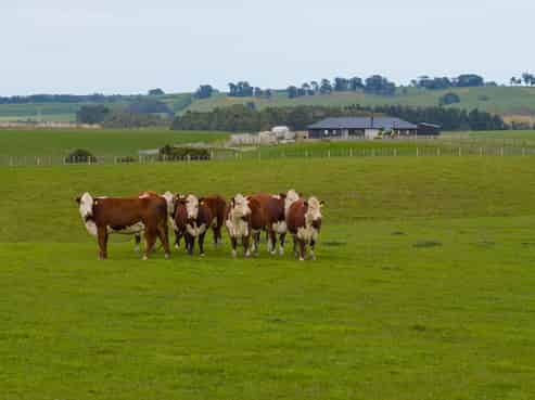 234 Sandon Road, Feilding