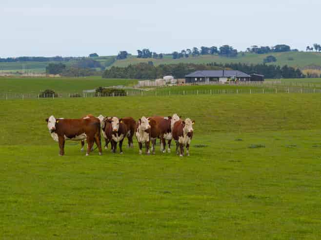234 Sandon Road, Feilding