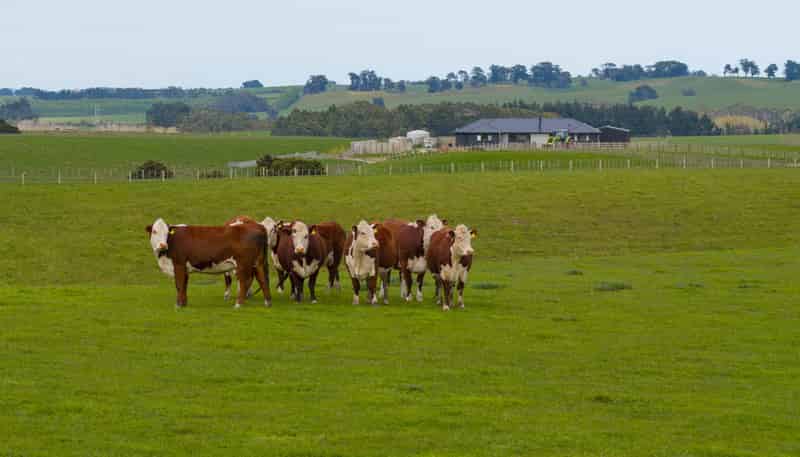 234 Sandon Road, Feilding