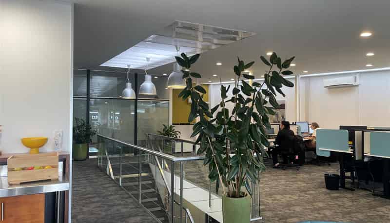  31C Normanby Road, Mount Eden