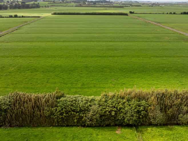 591 / 619 Waiuku-Otaua Road, Waiuku