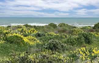 7 Kent Avenue, WAITARERE BEACH