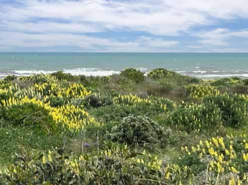 7 Kent Avenue, Waitarere Beach