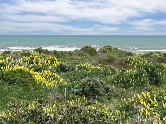 7 Kent Avenue, WAITARERE BEACH