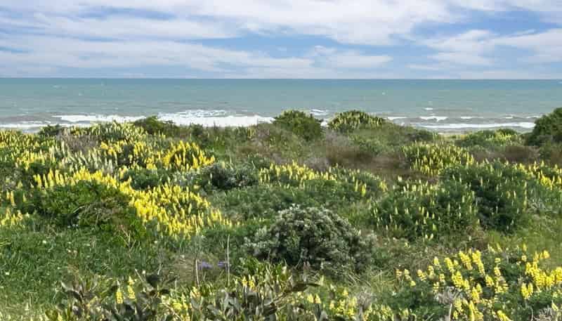 7 Kent Avenue, WAITARERE BEACH