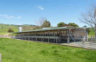 66b Washbourne Road, Morrinsville