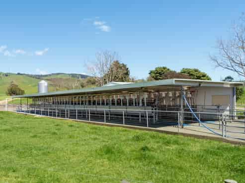66b Washbourne Road, Morrinsville
