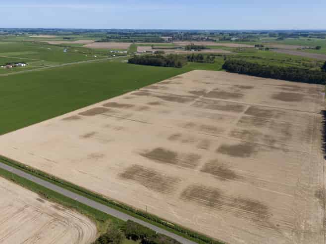 1121 Rongotea Road, Kairanga