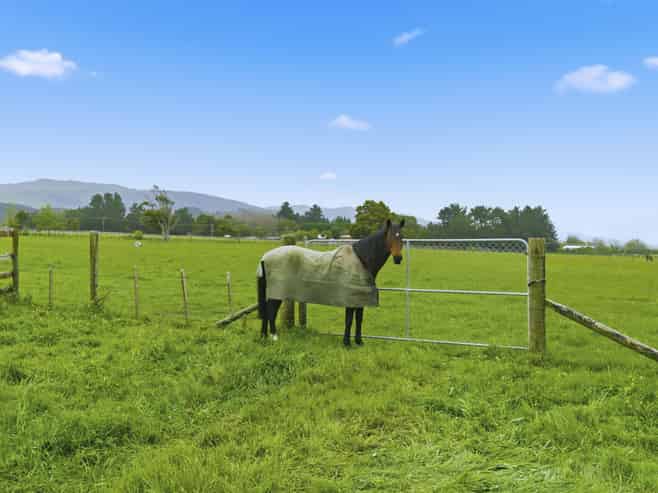 81 Muhunoa West Road, Ohau