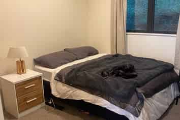 136 Aro Street, Aro Valley