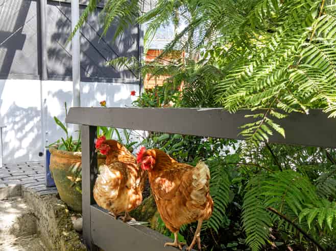 140 Hill Road, Belmont