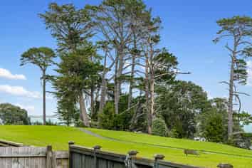 38 Pitt Avenue, Clendon Park