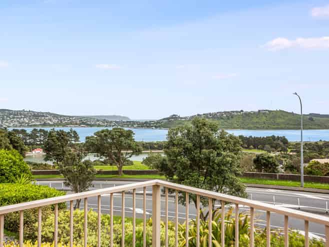 9 Hollyford Place, Aotea