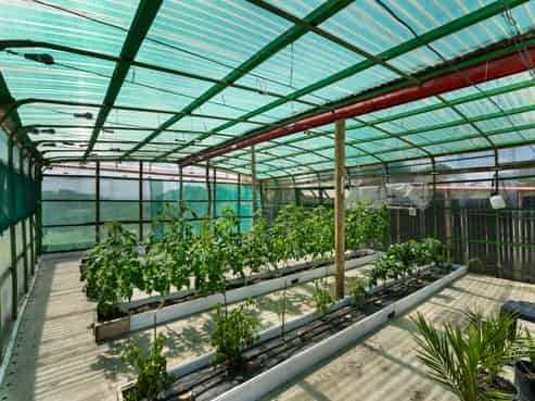 443 Lees Gully Road, Pollok